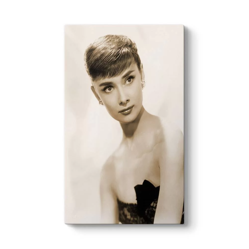 Audrey Hepburn Tablosu - Model 35